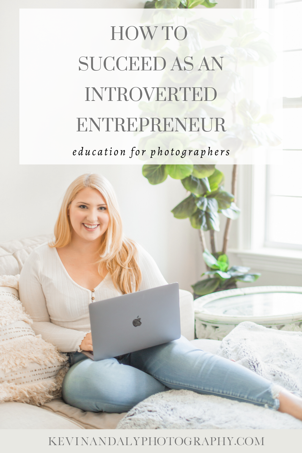 blog post graphic on succeeded as introverted entrepreneur