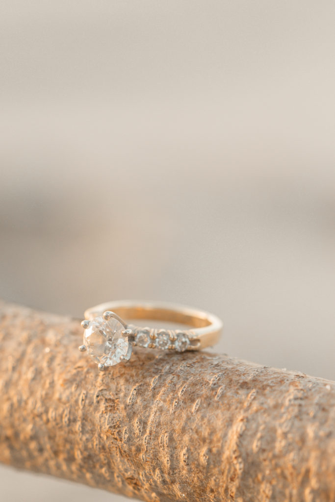 Solitaire engagement ring on driftwood at Long Beach Island