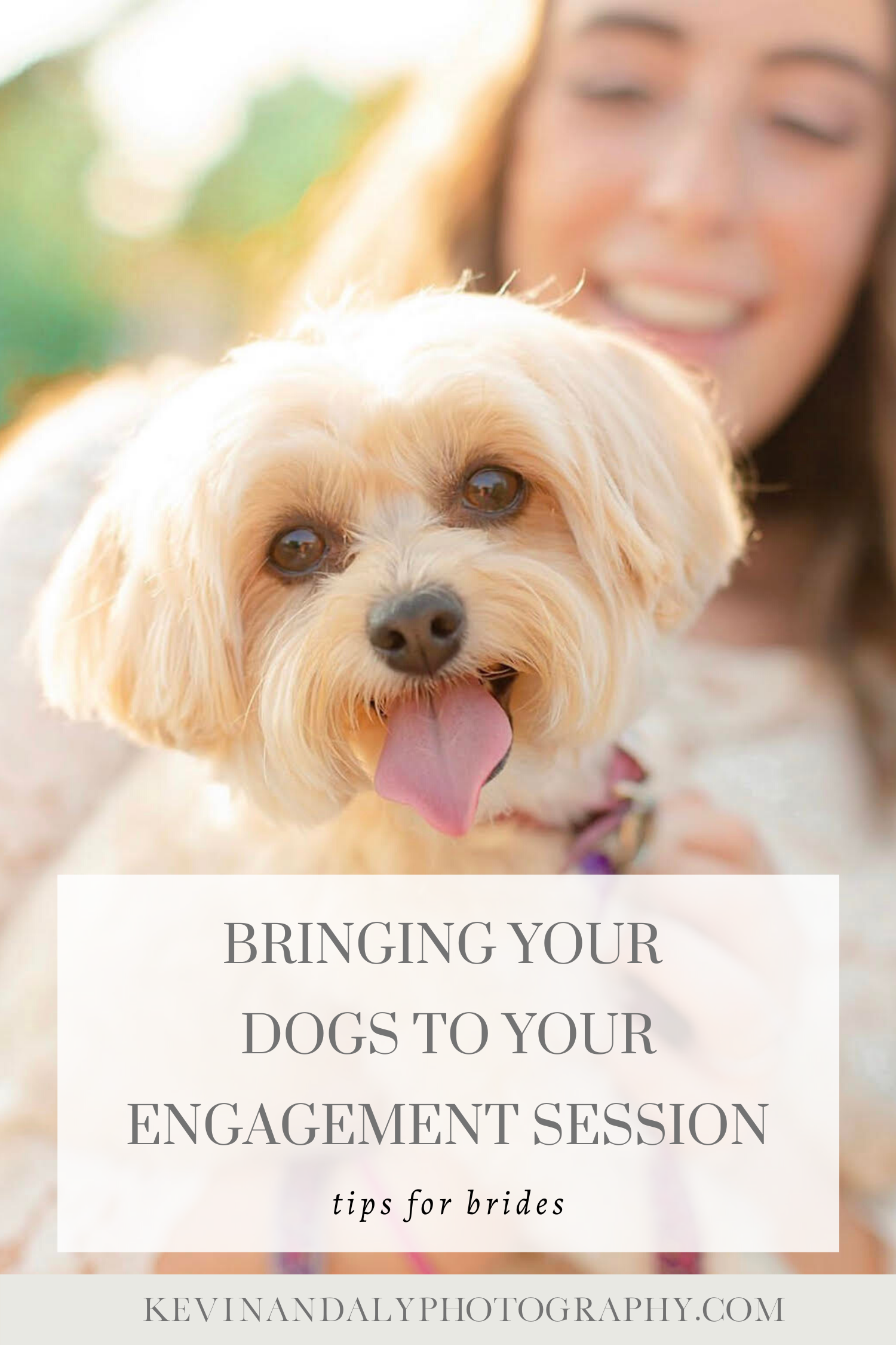 blog on bringing dogs to engagement sessions