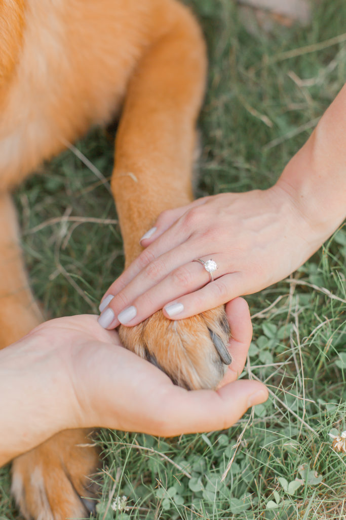 engagement ring with dog paw 