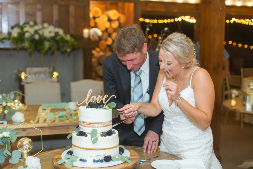 the hamilton manor cake cutting wedding photography