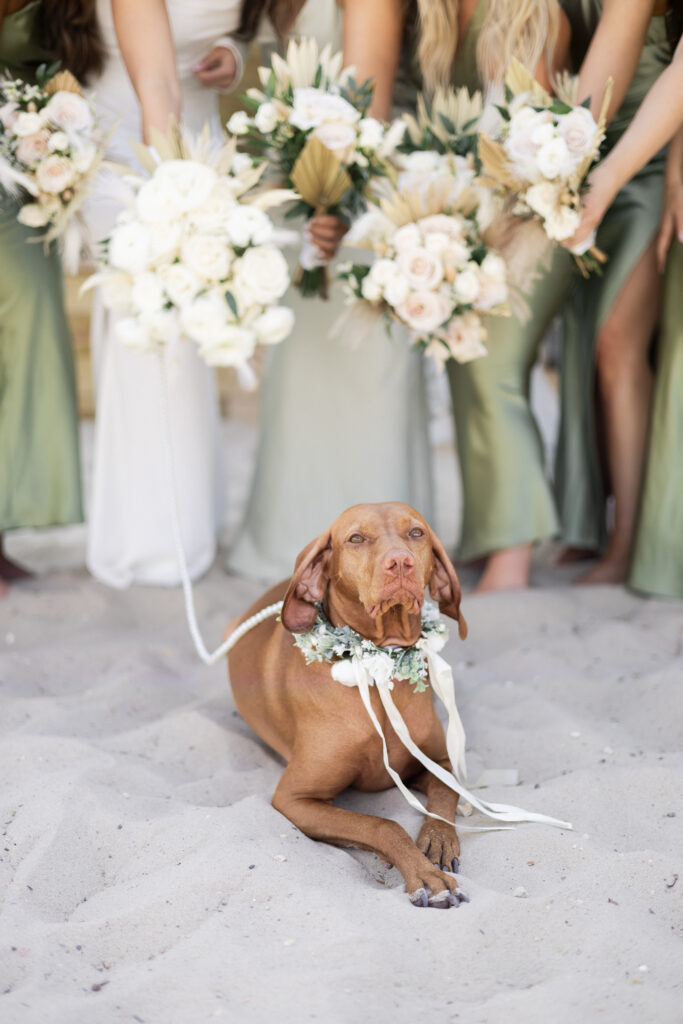 seashell resort wedding photography